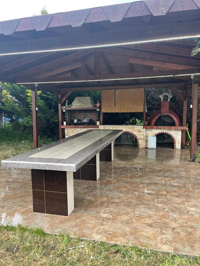 Lion Village Skala Fourkas Bagian luar foto
